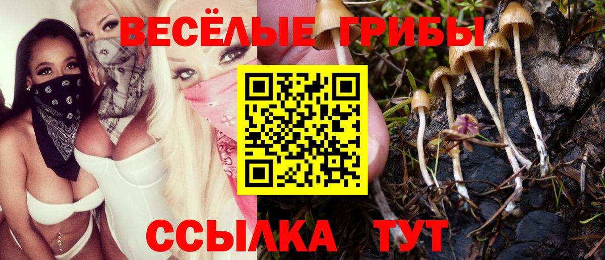 Галлюциногенные грибы мухоморы Снежинск